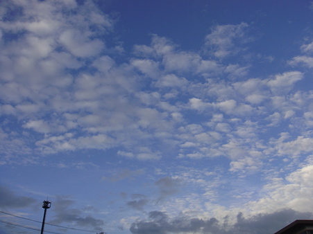 DSC01990