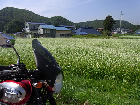 RIMG1086 のコピー