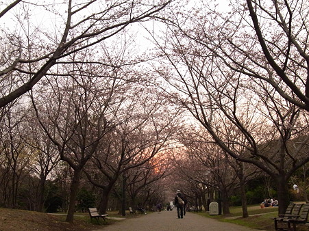 今年もありがと。