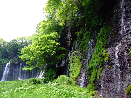 白糸の滝　2011.5.8-2