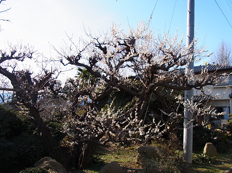 R0013094