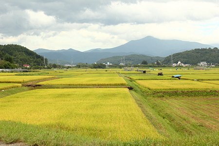 遠野の田園風景