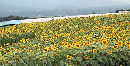 20100731-4