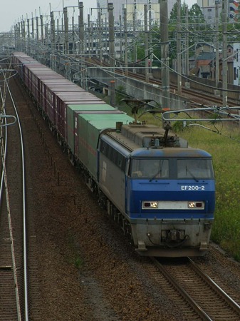 RSCN3835