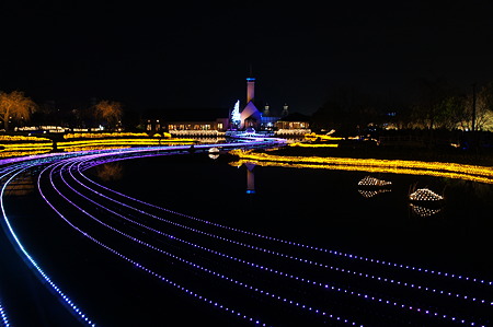DSC00603