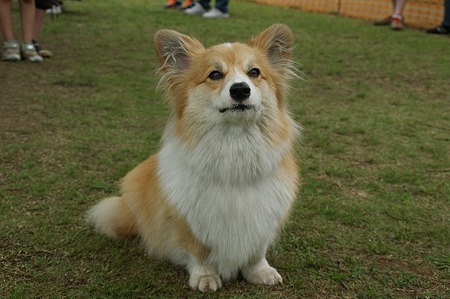 DSC00556