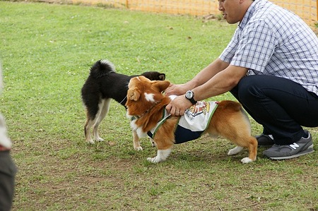 DSC00590