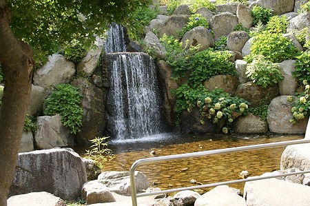 DSC02003