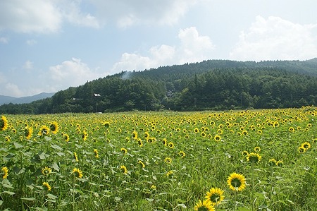 DSC02043