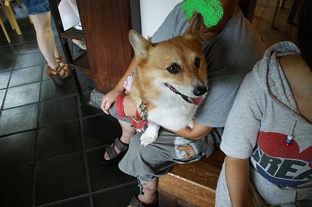 DSC01969