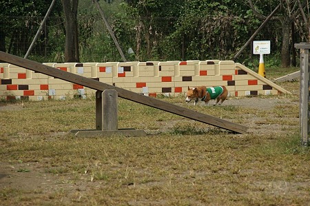 DSC04017