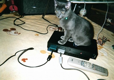 EPSON003
