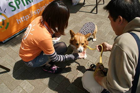 DSC09409