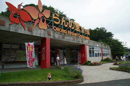 DSC02219
