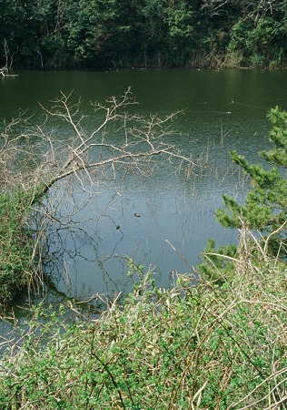 Pond_X-pro_chrome100_05062011pen_ft