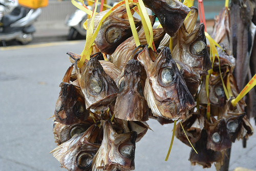 resize0139 写真: resize0139