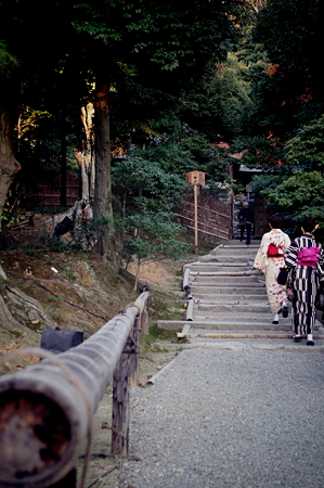 着物がお似合い