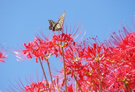 IMGP4914_0923