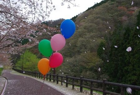 IMGP3769_0421