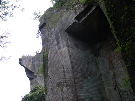 IMGP7967