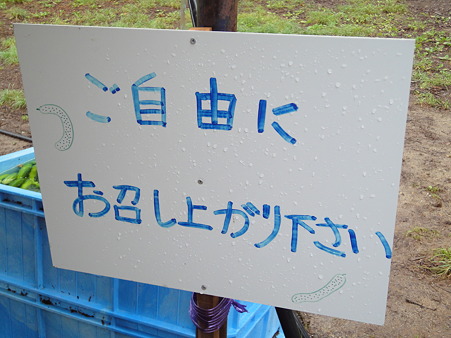 DSC00781