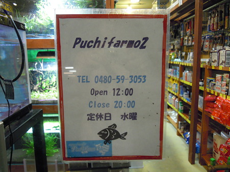 プチファームO2 2010 08/09 002