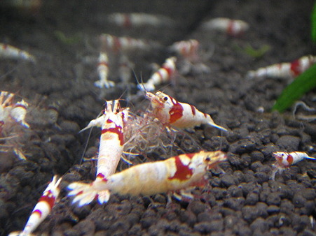 SANY0001