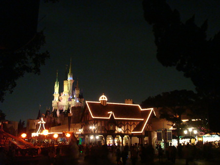 夜景とか@DH2010_TDL