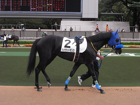 ハイランドダンス　2010年11月1日　1R 2歳未勝利