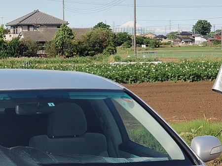 39282322.v1275000171gsr184b
