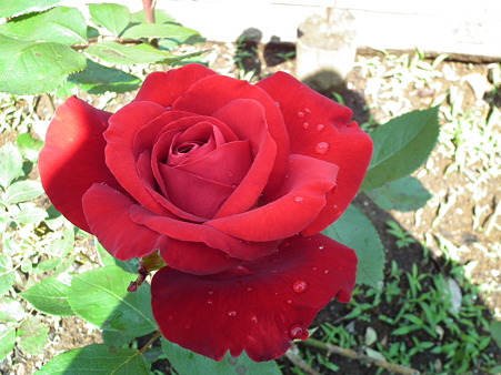 DSCF0169