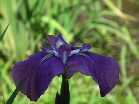 DSCF0073