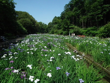 DSCF0075
