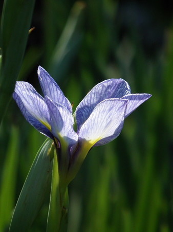 DSCF0269