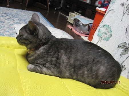 IMG_0422jl