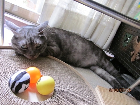 IMG_1205jl