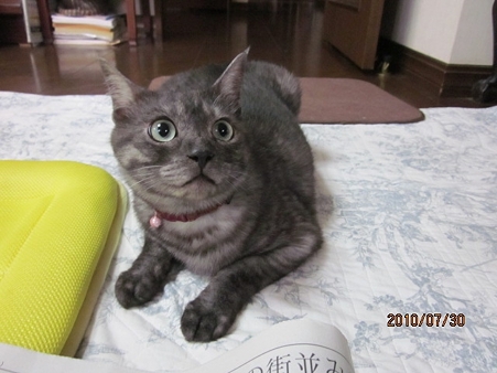 IMG_1634jl