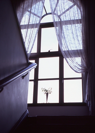 201109-04-015PZ