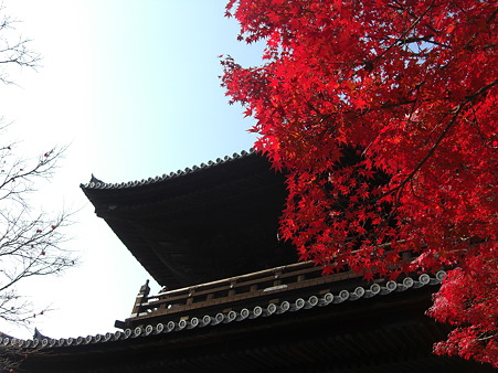 南禅寺三門と紅葉