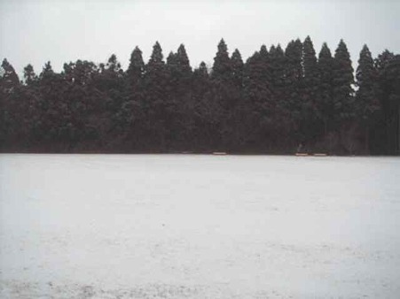 DSC04863