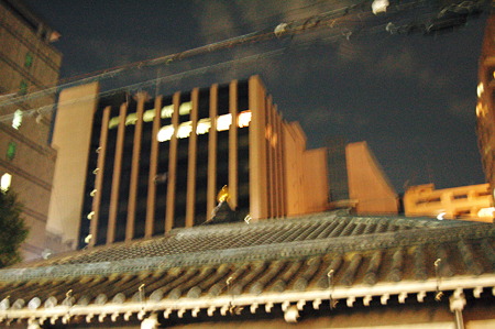 2011年01月09日_DSC_0179