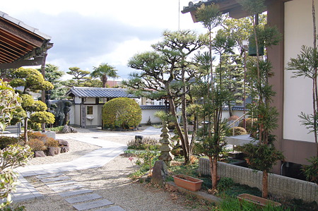 2011年01月10日_DSC_0293