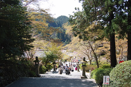 2011年04月17日_DSC_0054観心寺