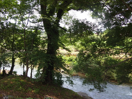 小野市