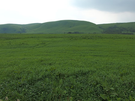 P6290400
