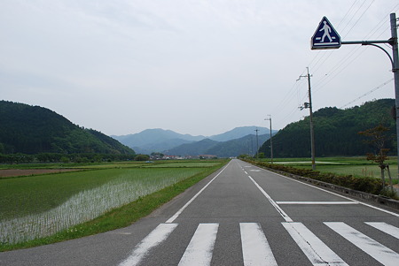 DSC_0798 DSC_0798