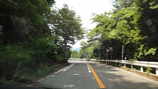 わくわく椿ライン