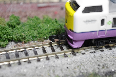IMGP5641