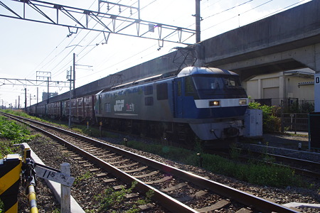 IMGP6242