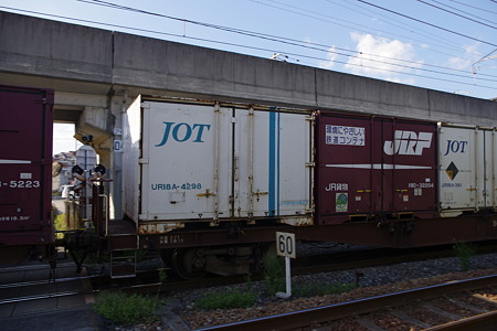 IMGP6262